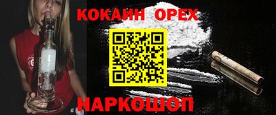 бошки Кингисепп