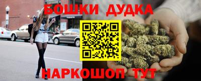 бошки Кингисепп