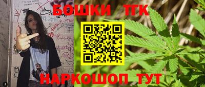 бошки Кингисепп