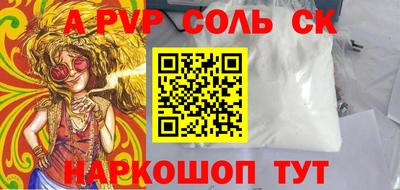 бошки Кингисепп