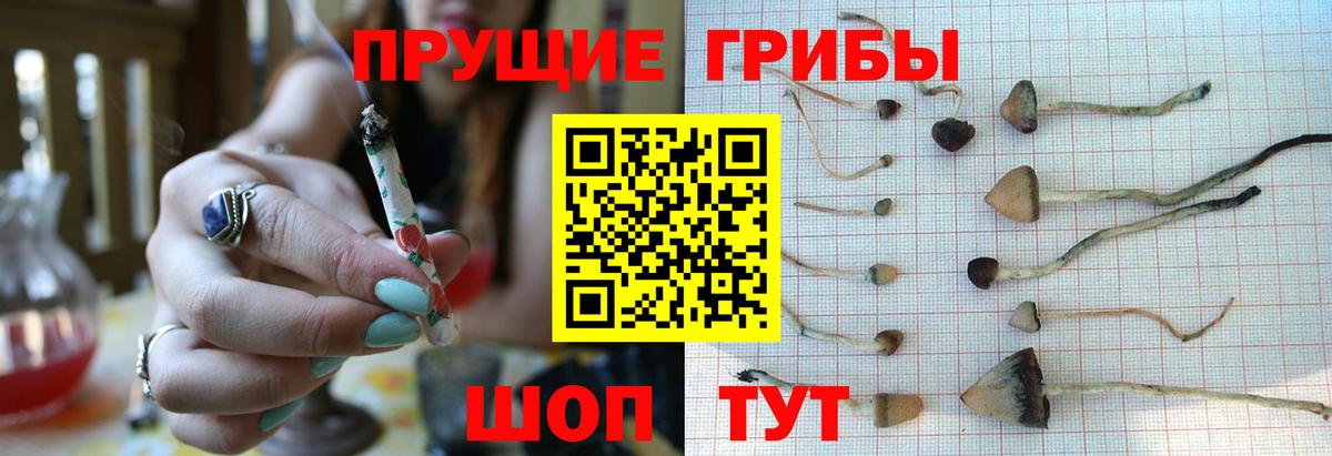 Псилоцибиновые грибы ЛСД  Вход с VPN  Клинцы 